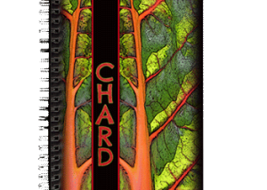 Hudson Valley Art: Chard Journal