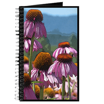 Hudson Valley Art: Echinacea Dream Journal