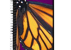 Hudson Valley Farm Art: Monarch Butterfly Journal