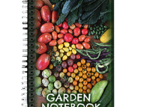Hudson Valley Art: Garden Notebook