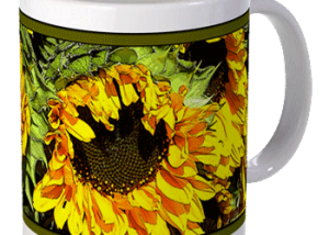 Hudson Valley Farm Art: Sunflowers